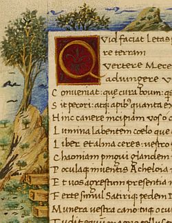 Fr. Stephen Ryan, O.P. Headshot